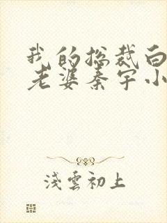 我的总裁白富美老婆秦宇小说全本txt