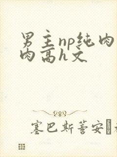 男主np纯肉巨肉高h文