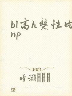 bl高h双性肉np封面
