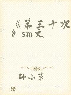 《第三十次调教》sm文封面