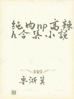 纯肉np高辣文h合集小说