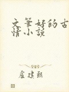 文笔好的古代言情小说封面