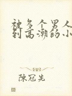 被多个男人玩弄到高潮的小说