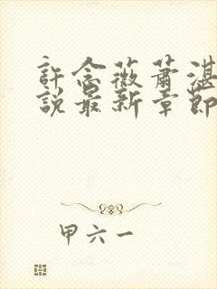 许念薇萧湛明小说最新章节免费阅读封面