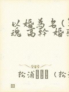 以婚为名 (军魂 高干 婚恋)