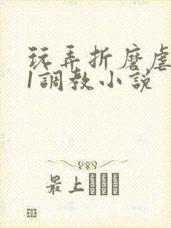 玩弄折磨虐女91调教小说