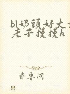bl奶头好大让老子摸摸h