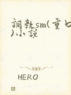 调教sm(重口)小说封面