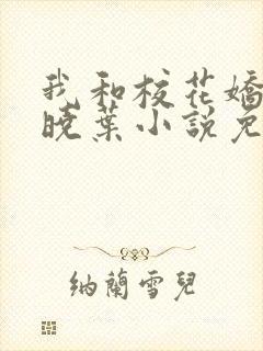 我和校花娇妻秦晓叶小说免费阅读