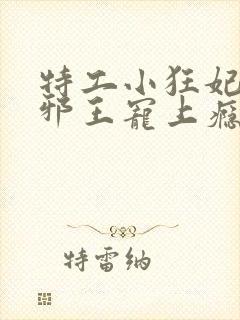 特工小狂妃高冷邪王宠上瘾免费阅读