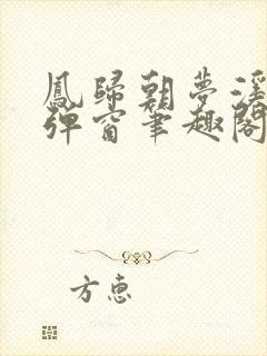 凤归朝梦溪石无弹窗笔趣阁