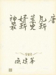 神婿叶凡唐若雪最新更新