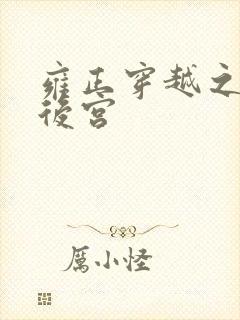 雍正穿越之极品后宫