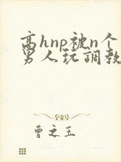 高hnp被n个男人玩调教