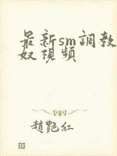 最新sm调教男奴视频