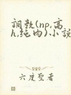 调教(np,高h,纯肉)小说