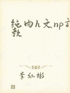 纯肉h文np调教