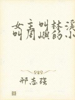 女主叫林溪男主叫周屿的小说