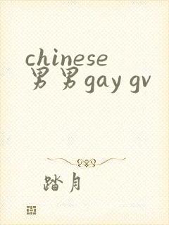 chinese男男gay gv封面