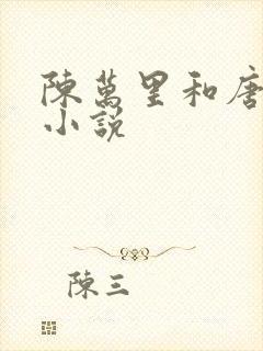 陈万里和唐嫣然小说封面