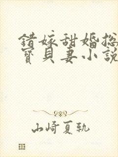 错嫁甜婚总裁的宝贝妻小说完整