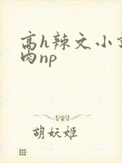 高h辣文小说纯肉np