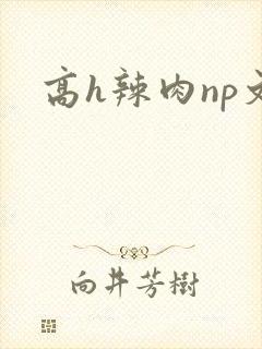 高h辣肉np文