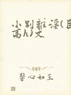 小别离淫(巨肉高h)文
