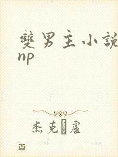 双男主小说高hnp