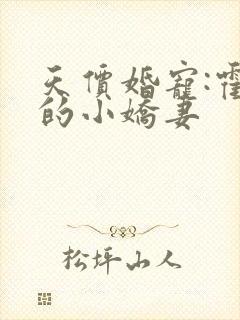 天价婚宠:霍总的小娇妻