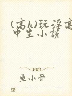 (高h)玩淫高中生小说