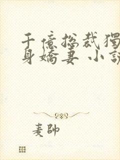 千亿总裁独宠替身娇妻 小说完整板