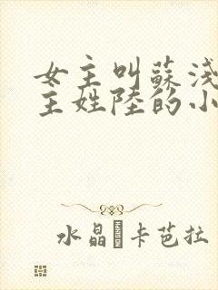 女主叫苏浅,男主姓陆的小说