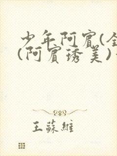 少年阿宾(全)(阿宾琇美)番外+大结局小说