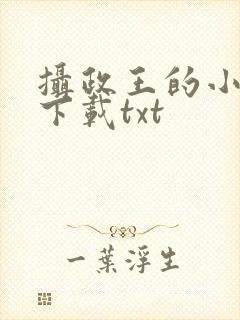 摄政王的小闲妻下载txt封面