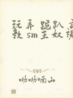 玩弄 跪趴 调教 sm主奴视频