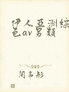 伊人亚洲综合网色av另类