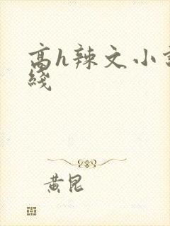 高h辣文小说在线封面