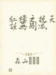 红楼之挽天倾小说无删减