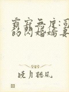 霸宠无度:司少的闪婚娇妻