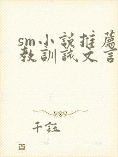 sm小说推荐调教训诫文言情封面