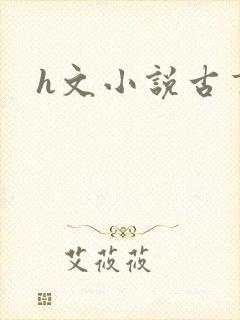 h文小说古言