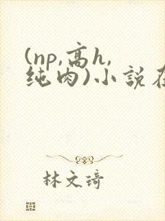 (np,高h,纯肉)小说在线阅读