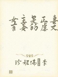 女主是正妻男主有妾的虐文封面