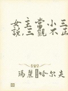 女主当小三的小说,三观不正
