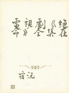 电视剧《绝密使命》全集在线播放