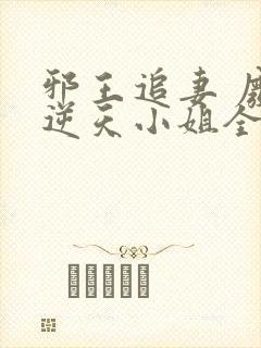 邪王追妻 废材逆天小姐全文阅读