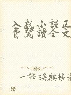 入戏小说正版免费阅读全文无弹窗封面