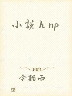 小说 h np