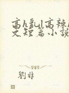 高h乱l高辣h文短篇小说
